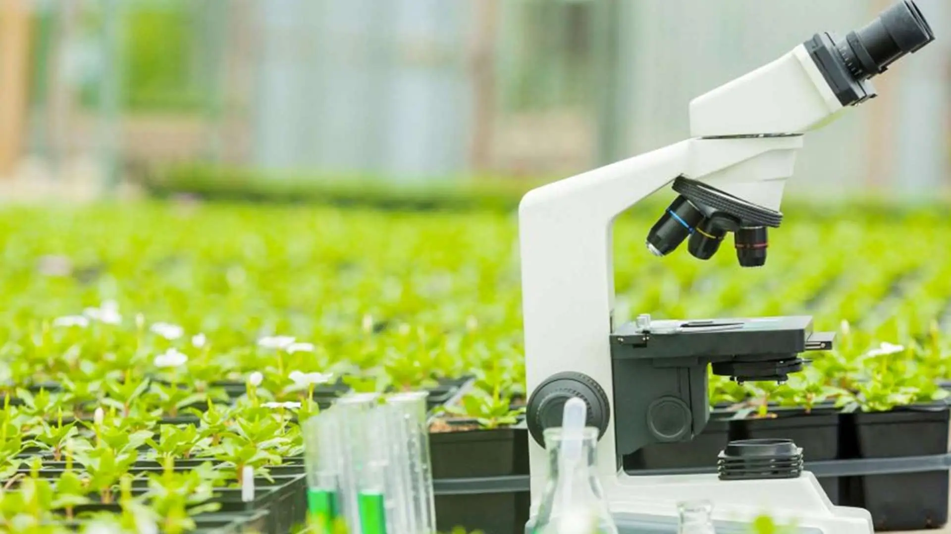 organik-organomineral-gubre-2