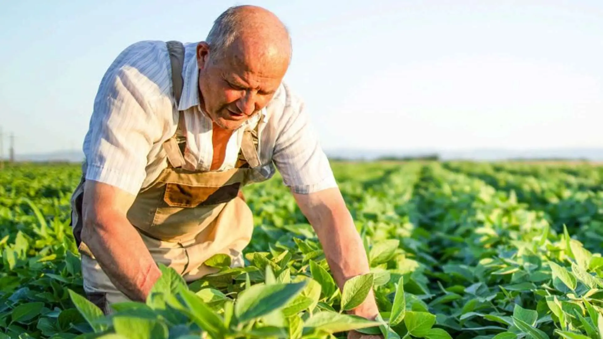 organik-organomineral-gubre-7