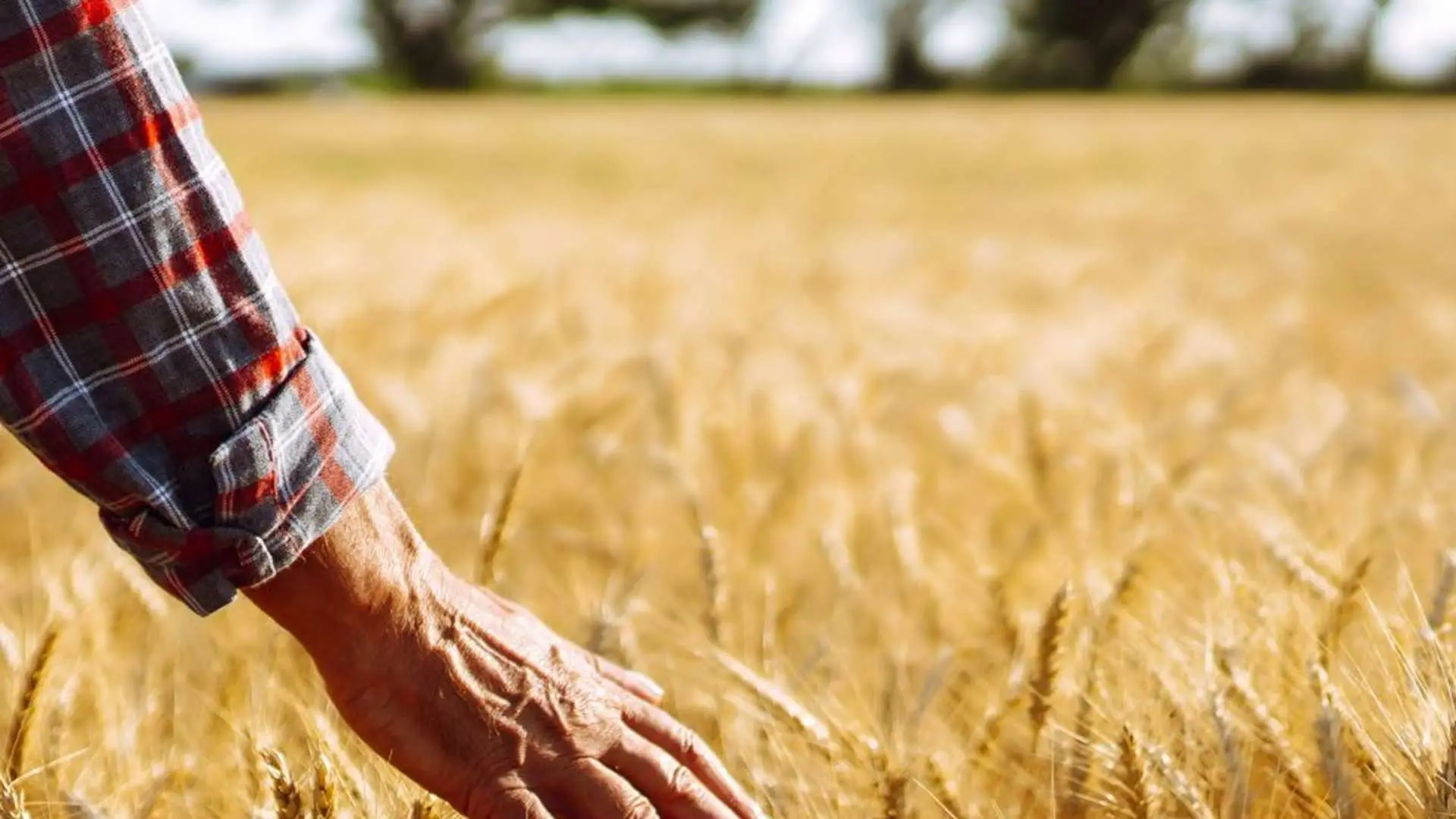 organik-organomineral-gubre-8